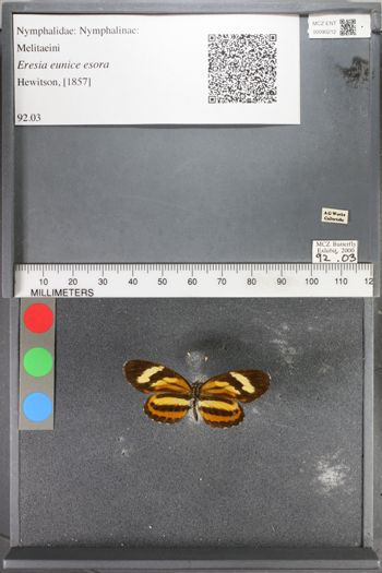 Media type: image;   Entomology 90212
